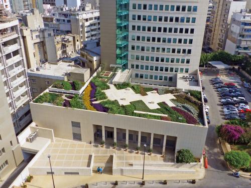 Roof garden surrounded by skyscrapers